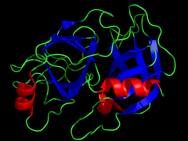 Protease EDC